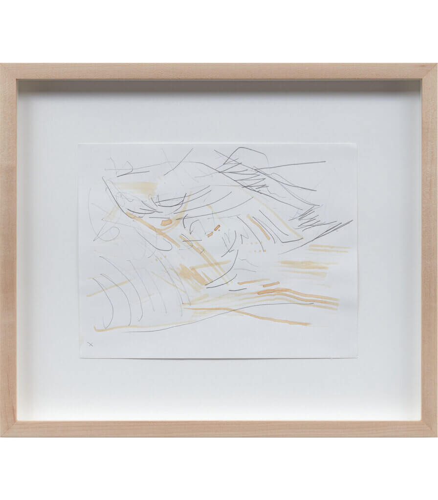 Untitled (Late Nature Drawing)