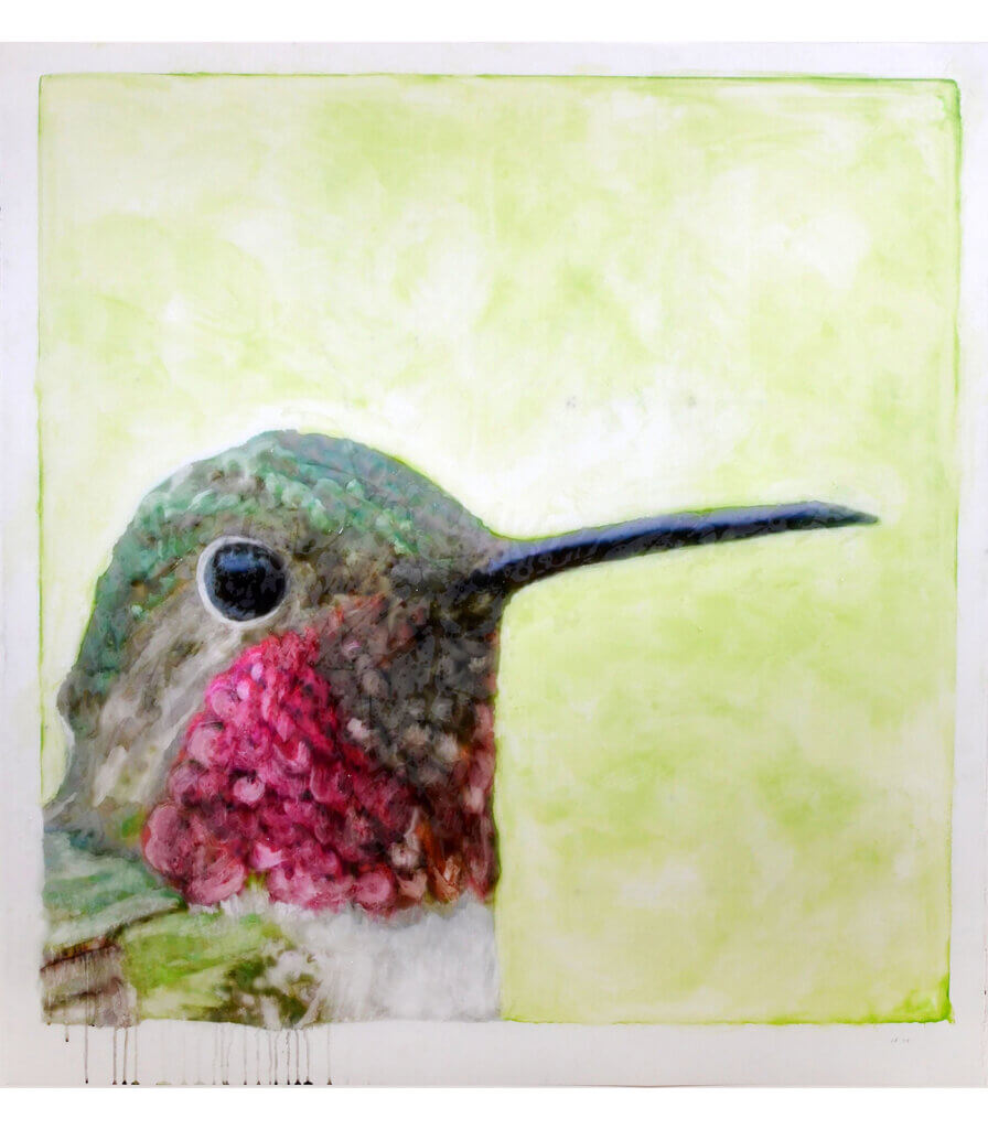 Portraits (Broad-Tailed Hummingbird)